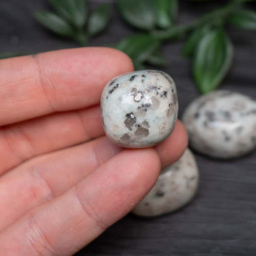 Kiwi Jasper Tumbled