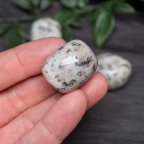 Kiwi Jasper Tumbled