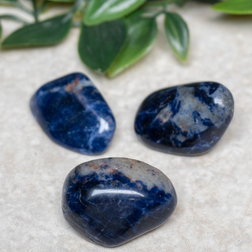 Sodalite Tumbled