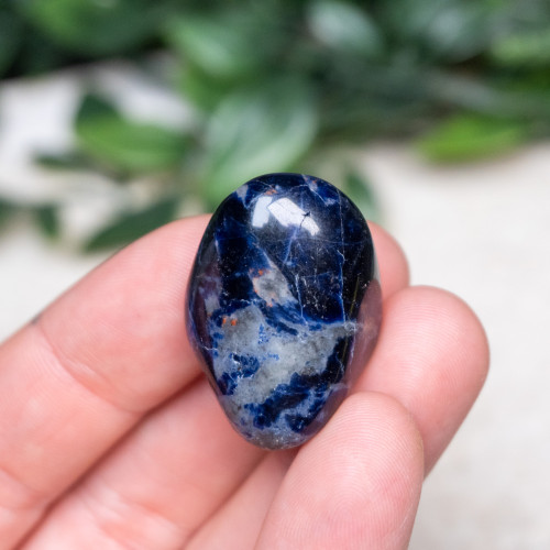 Sodalite Tumbled