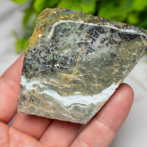 Green Opalized Wood Slice #10