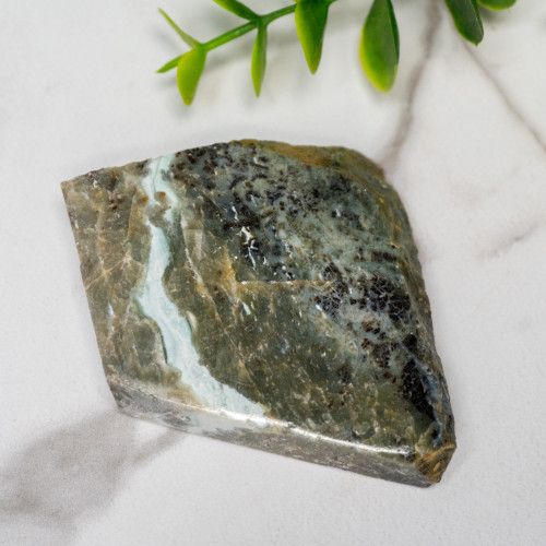 Green Opalized Wood Slice #10