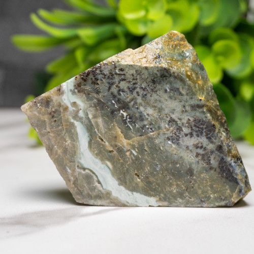 Green Opalized Wood Slice #10