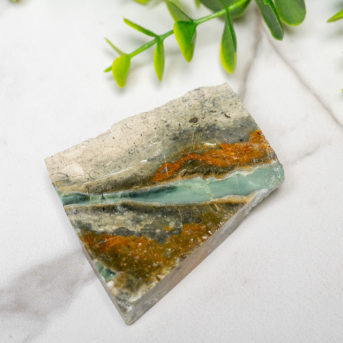 Green Opalized Wood Slice #9