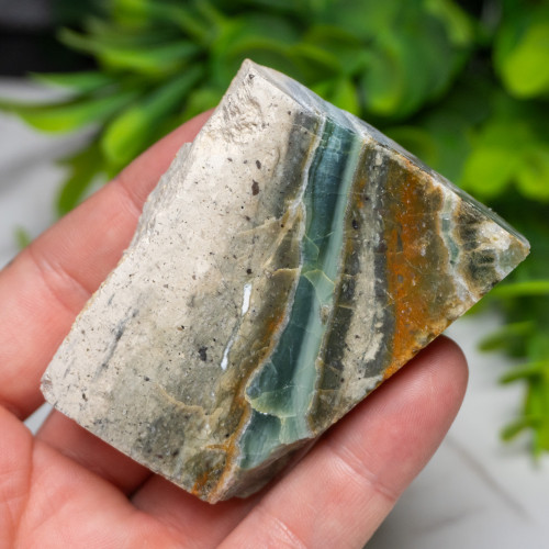 Green Opalized Wood Slice #9