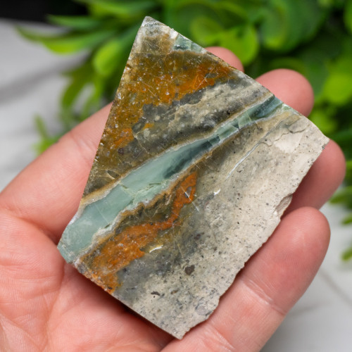 Green Opalized Wood Slice #9