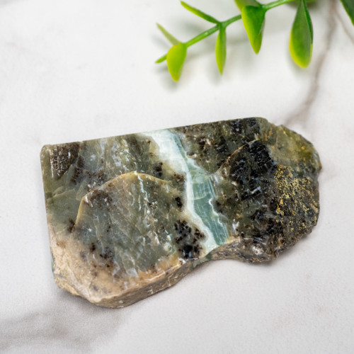 Green Opalized Wood Slice #8