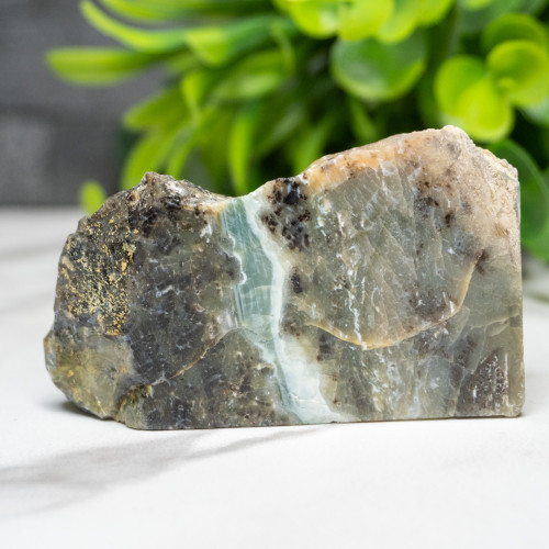 Green Opalized Wood Slice #8