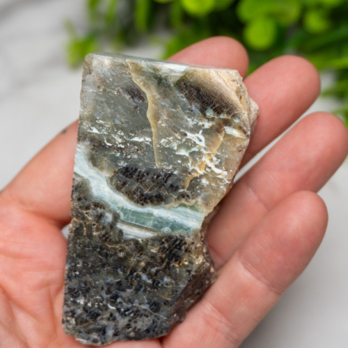 Green Opalized Wood Slice #8