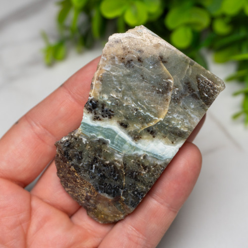 Green Opalized Wood Slice #8