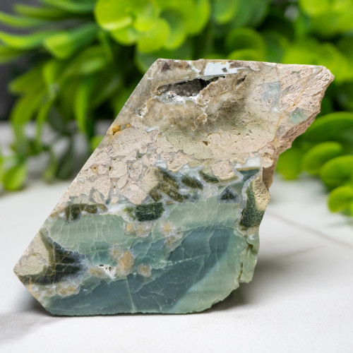 Green Opalized Wood Slice #7