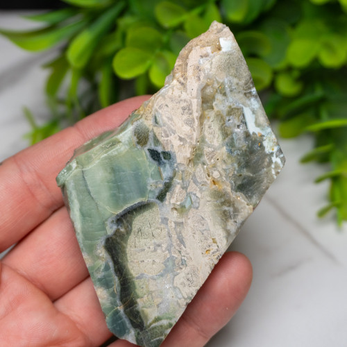 Green Opalized Wood Slice #7