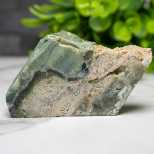 Green Opalized Wood Slice #7