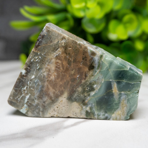 Green Opalized Wood Slice #6