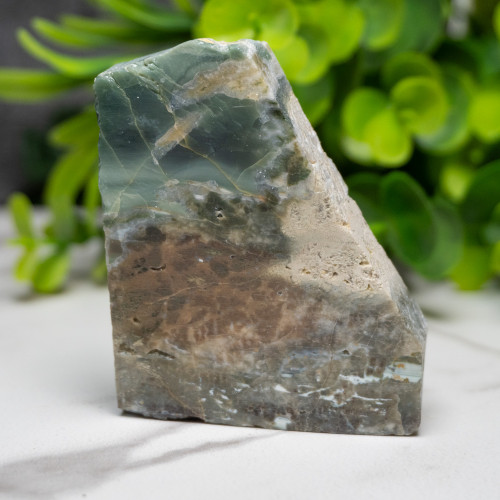 Green Opalized Wood Slice #6