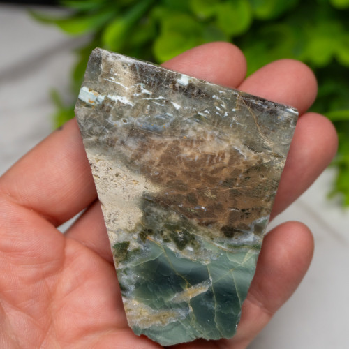 Green Opalized Wood Slice #6