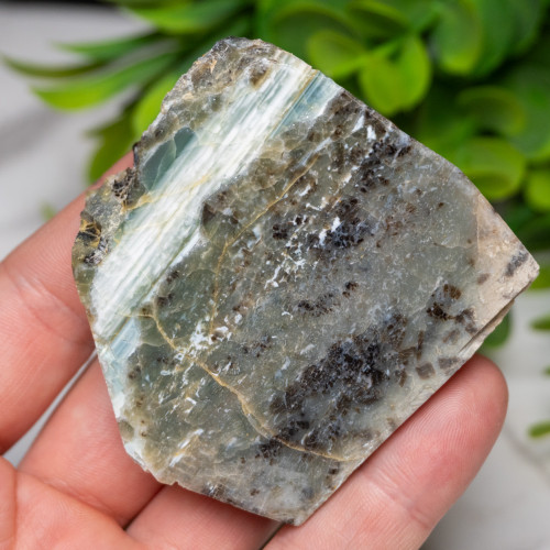 Green Opalized Wood Slice #5