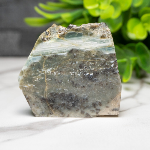 Green Opalized Wood Slice #5