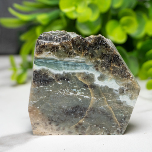 Green Opalized Wood Slice #5