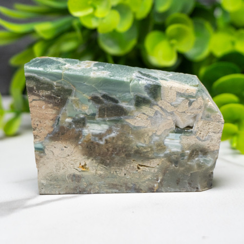 Green Opalized Wood Slice #4