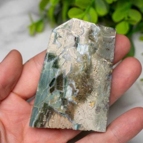 Green Opalized Wood Slice #4