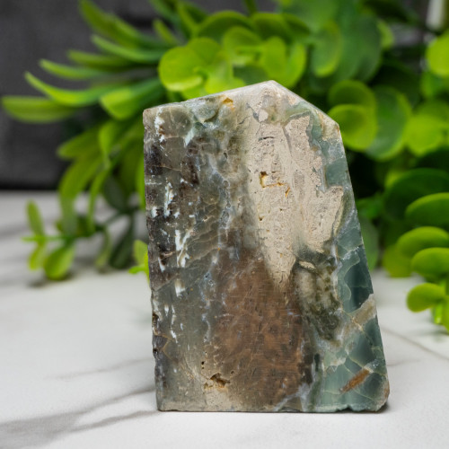 Green Opalized Wood Slice #4