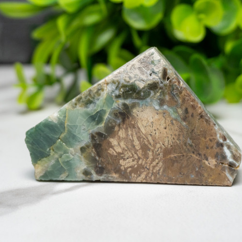 Green Opalized Wood Slice #3
