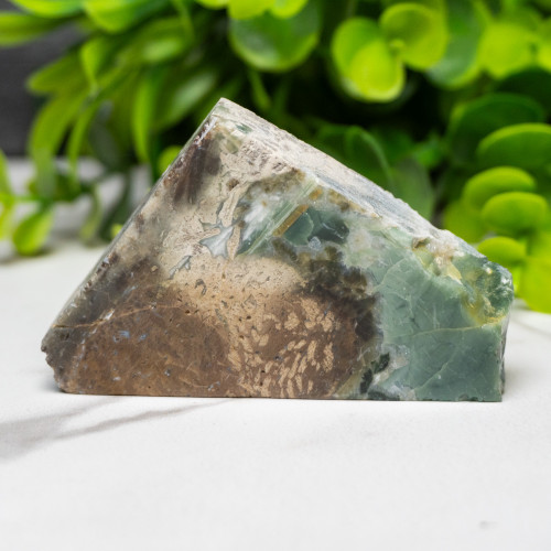 Green Opalized Wood Slice #3