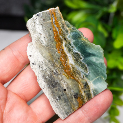 Green Opalized Wood Slice #2