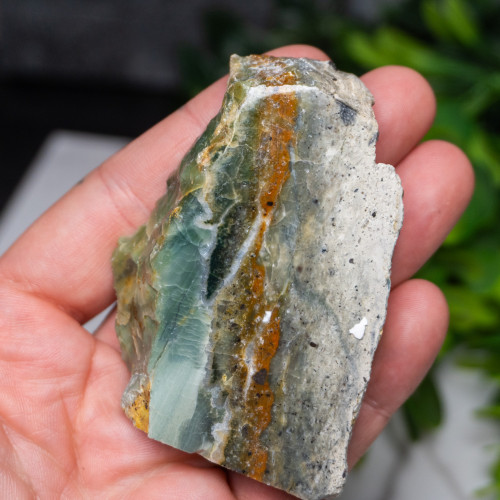 Green Opalized Wood Slice #2