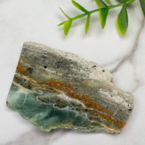 Green Opalized Wood Slice #2