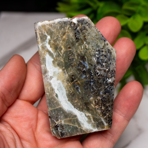 Green Opalized Wood Slice #1