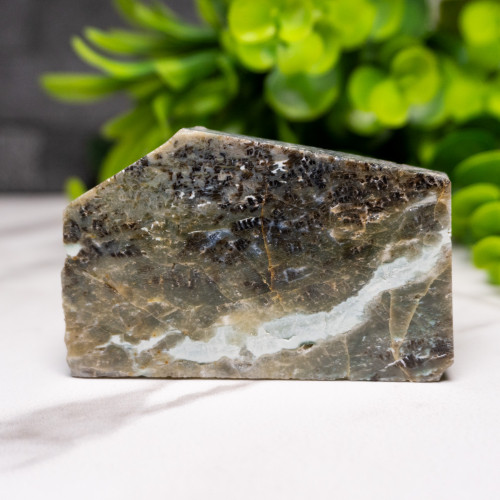 Green Opalized Wood Slice #1