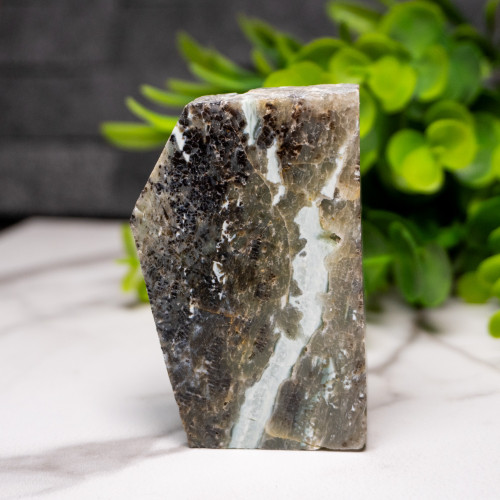 Green Opalized Wood Slice #1