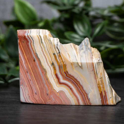 Pink Lace Chalcedony Slice #8