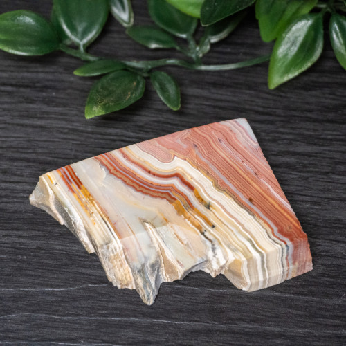 Pink Lace Chalcedony Slice #8