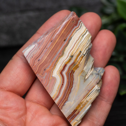 Pink Lace Chalcedony Slice #8