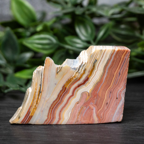 Pink Lace Chalcedony Slice #8