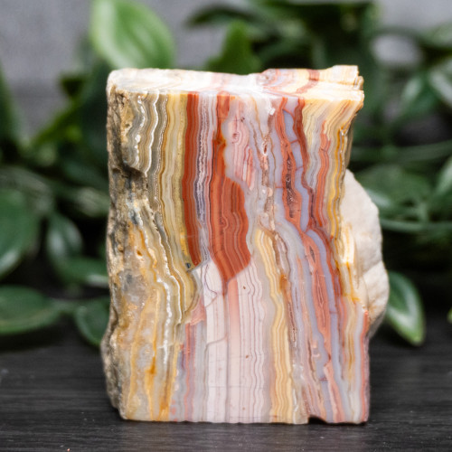 Pink Lace Chalcedony Slice #7