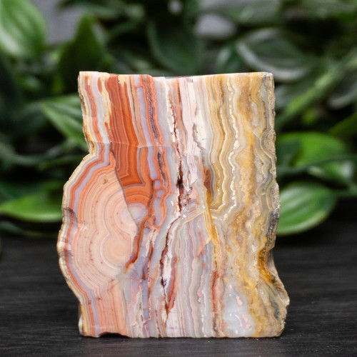 Pink Lace Chalcedony Slice #7