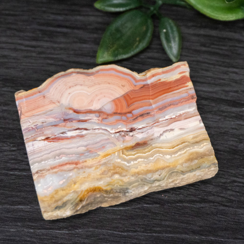 Pink Lace Chalcedony Slice #7