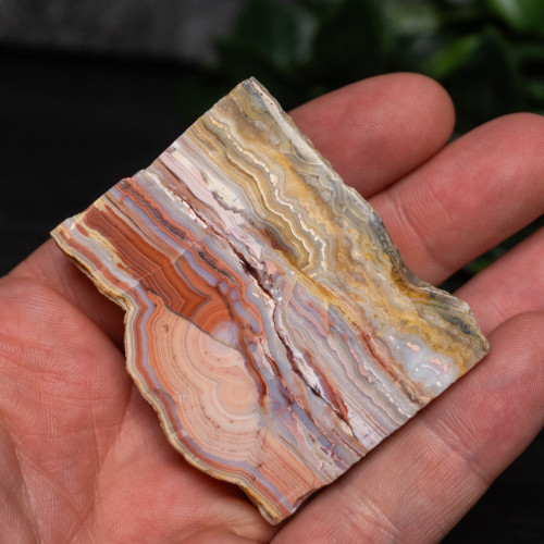 Pink Lace Chalcedony Slice #7