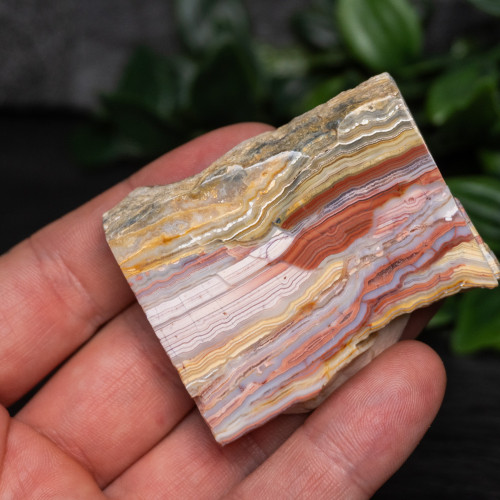 Pink Lace Chalcedony Slice #7