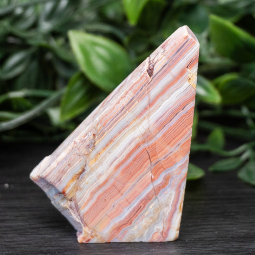 Pink Lace Chalcedony Slice #6