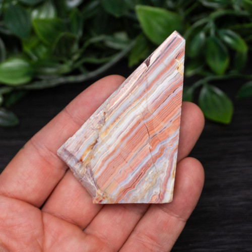 Pink Lace Chalcedony Slice #6