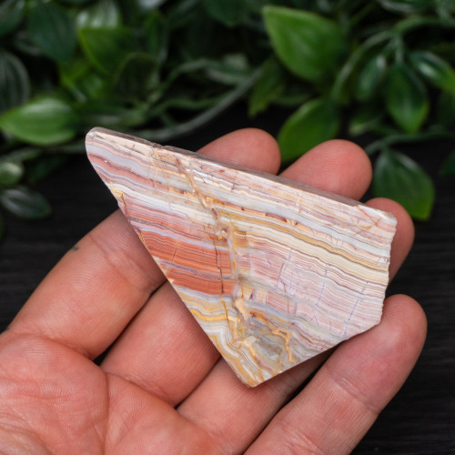 Pink Lace Chalcedony Slice #6