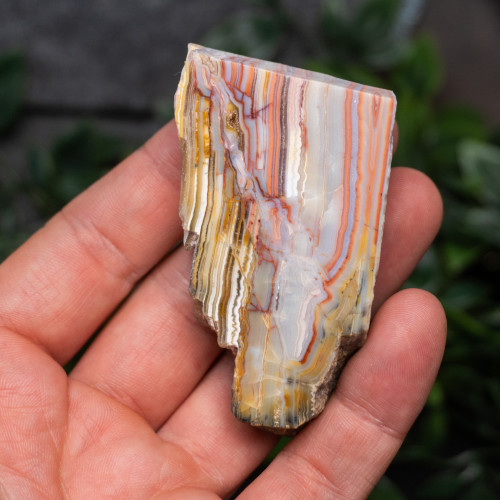 Pink Lace Chalcedony Slice #5