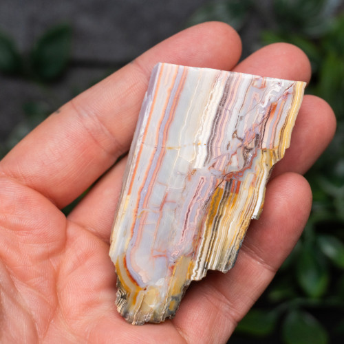 Pink Lace Chalcedony Slice #5