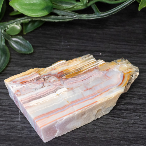 Pink Lace Chalcedony Slice #5