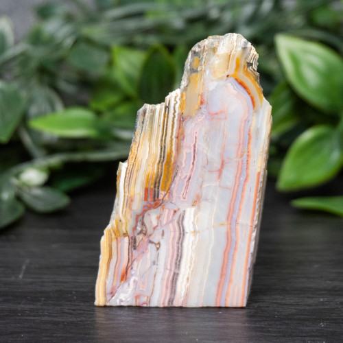 Pink Lace Chalcedony Slice #5